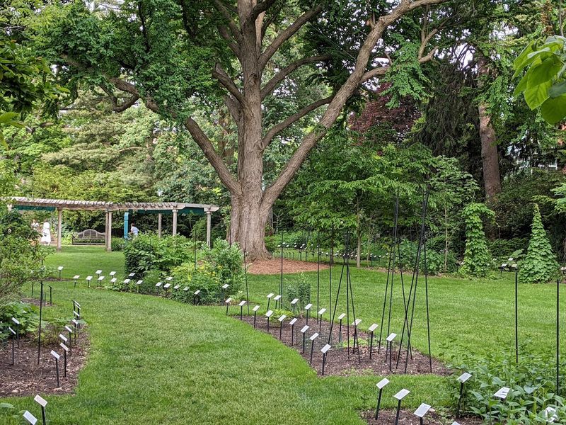 W.J. Beal Botanical Garden