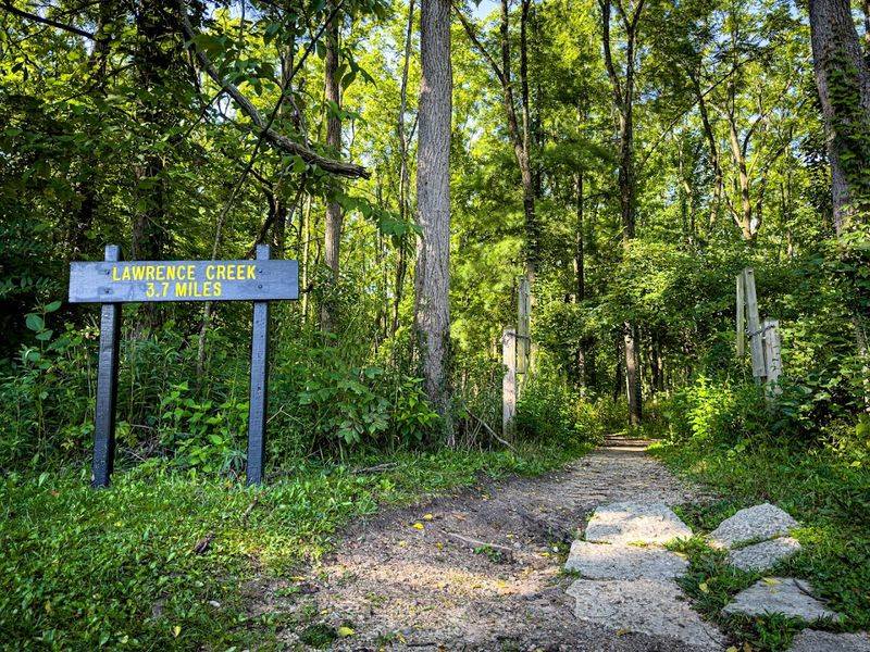 Lawrence Creek Trail, Fort Harrison State Park