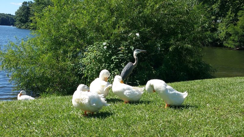 Picnic Spots And Facilities