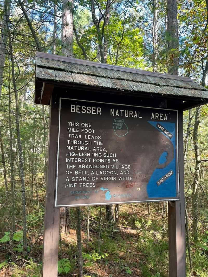 Why Besser Bell Natural Area Belongs On Your Michigan Bucket List
