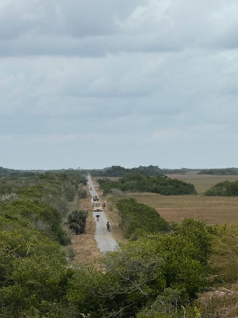 What To Pack For A 15-Mile Everglades Ride
