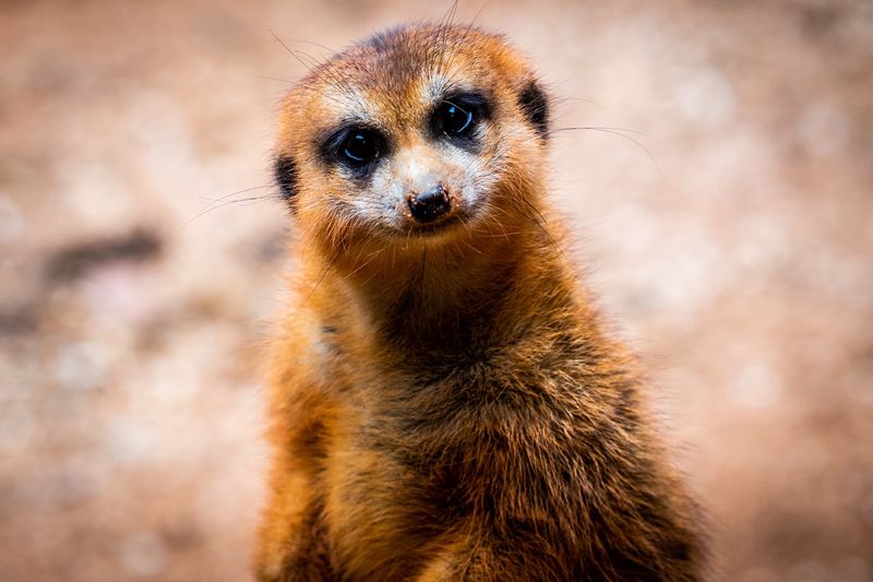 The Kids Water Play Area And Family-Friendly Amenities
