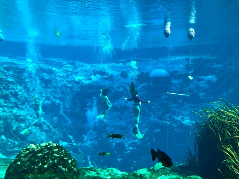 Weeki Wachee Springs State Park