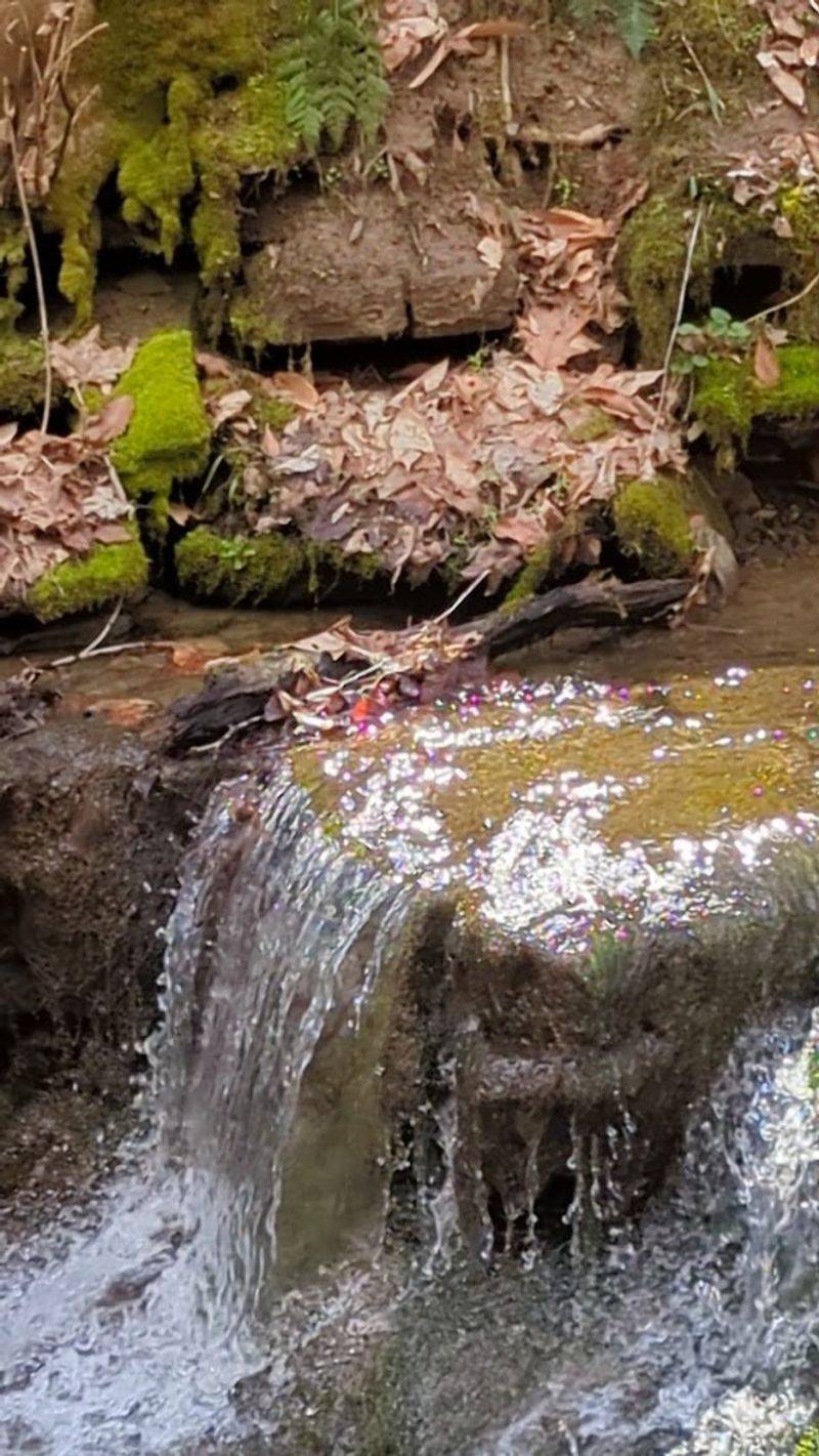 Wildlife And Natural Habitats Worth Slowing Down For