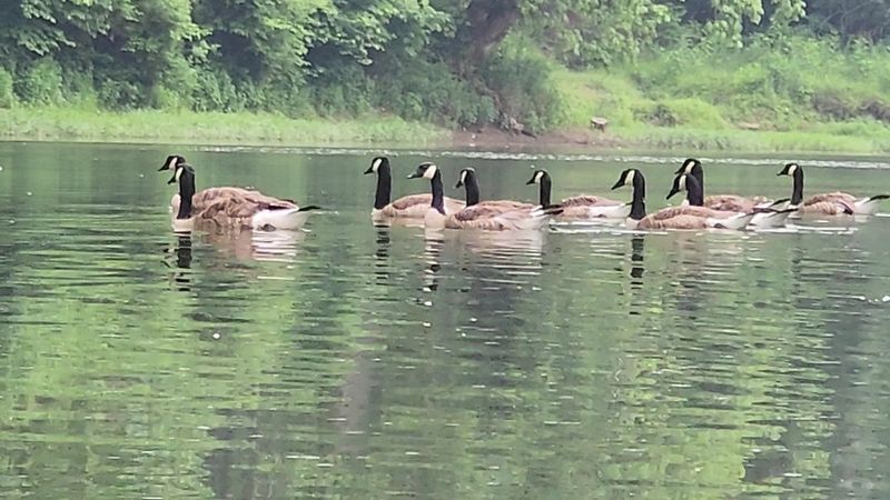 Wildlife That Reminds You Who Really Lives Here