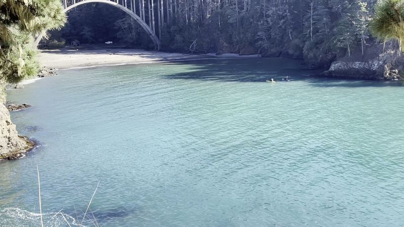 Tide Pools And Coastal Exploration