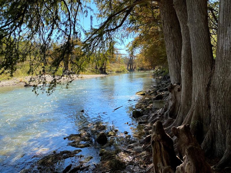 Wildlife And Scenery That Slow You Down In The Best Way