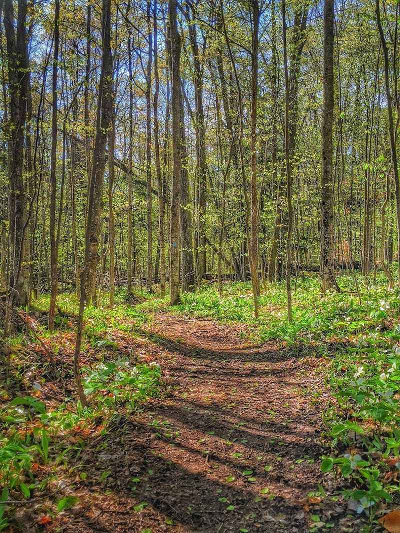 Where Nature Meets Relaxation