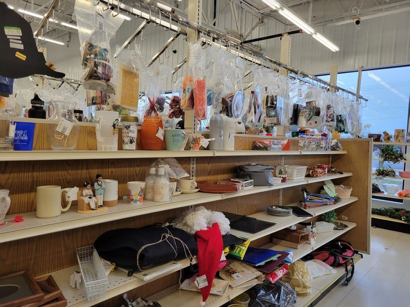 Home Goods, Decor, And The Joy Of The Hunt