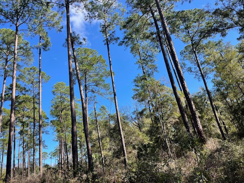 The Ridge Views That Reward Your Effort