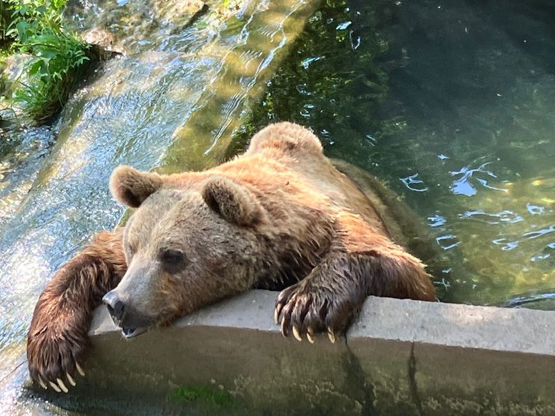 Lodging And On-Site Amenities