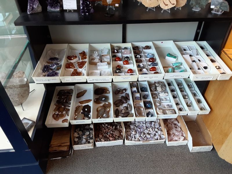 The Story Behind Combining Geology And Prehistoric Life