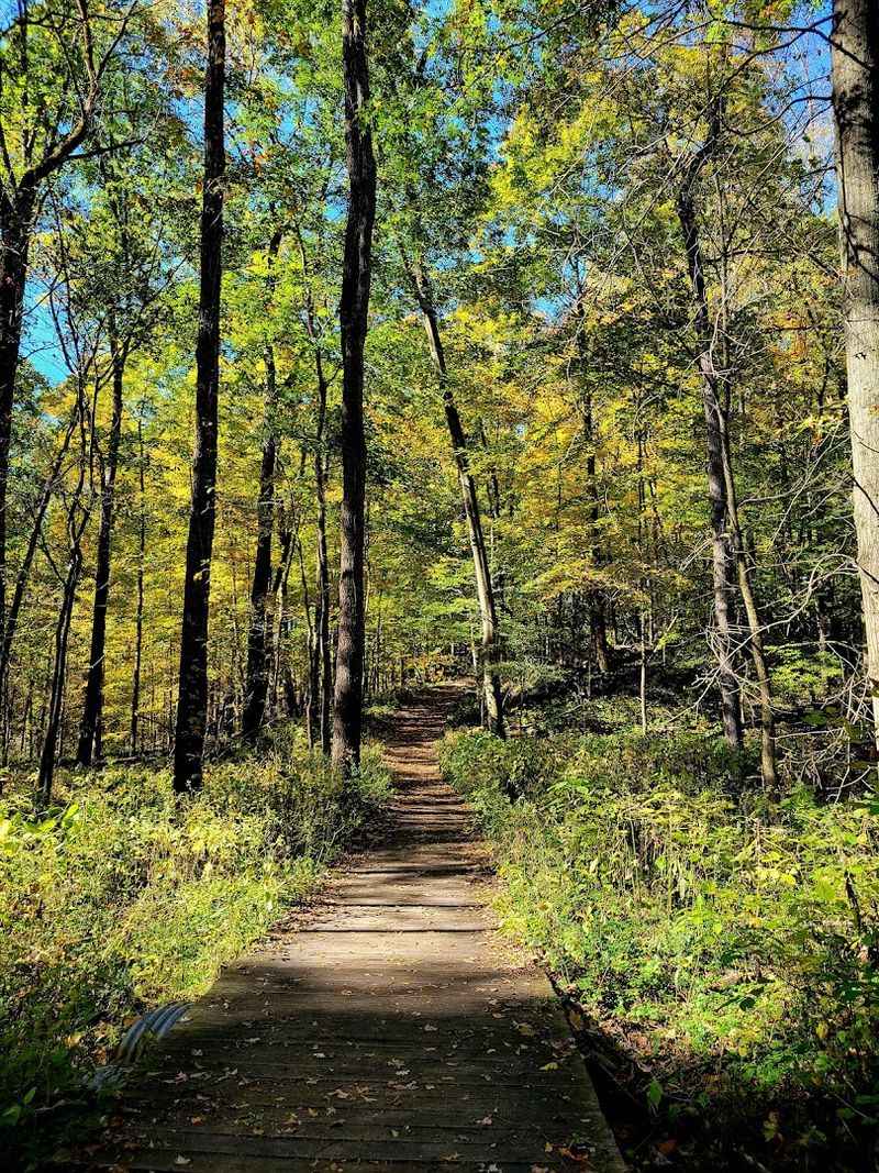 Bailly Homestead And Chellberg Farm Trail, Indiana Dunes National Park