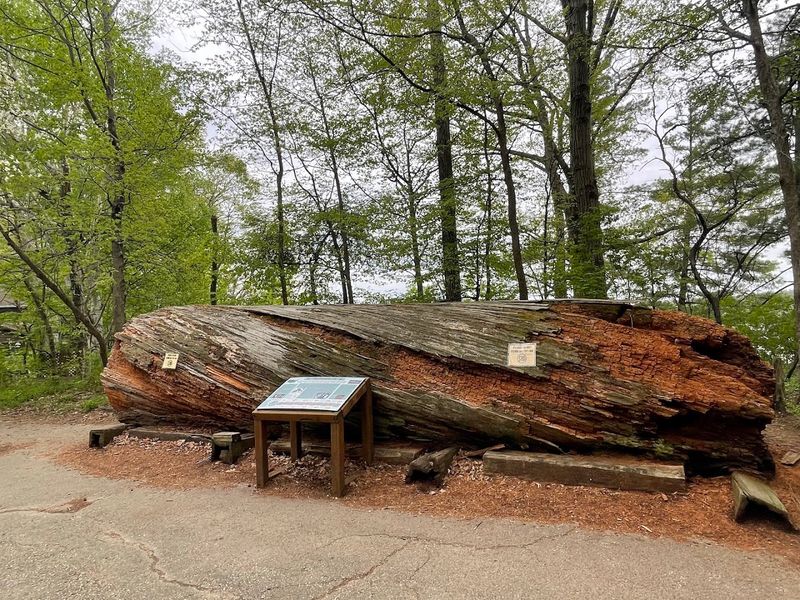 South Overlook Waterfowl Sanctuary Trail, Eagle Creek Park