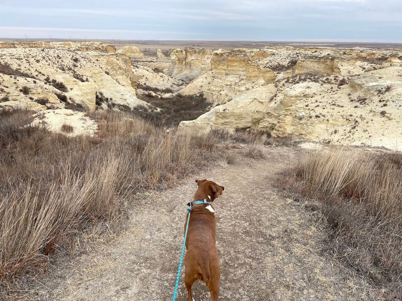 Trails That Take You Off The Beaten Path