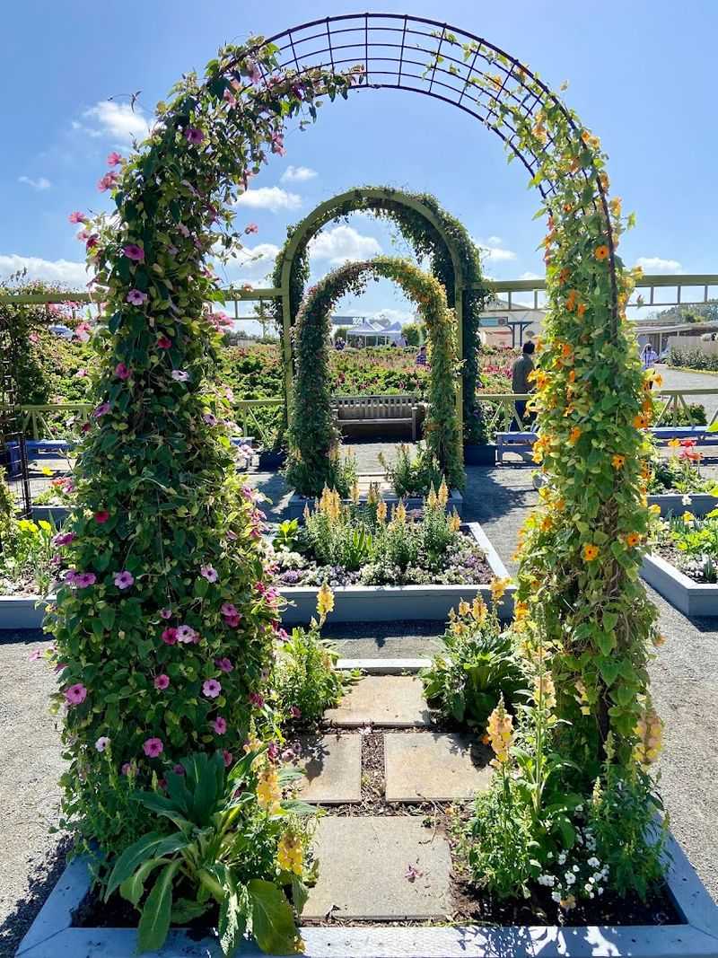 Photography Tips For Capturing The Magic