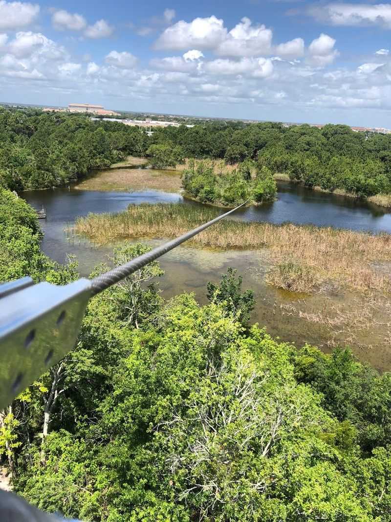 Treetop Trek Adventures