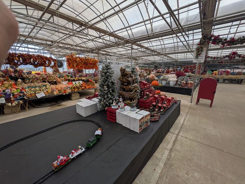 Christmas Trees And Holiday Decor