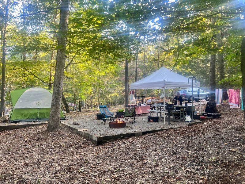 Picnicking and Outdoor Gatherings