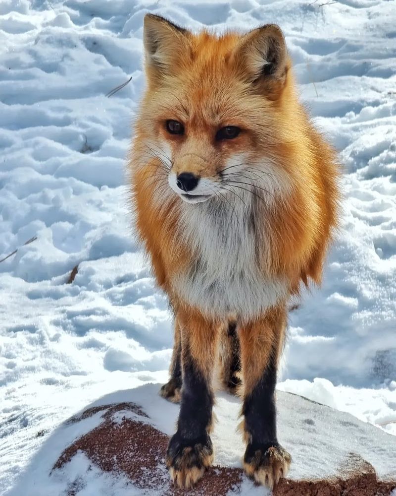 Photo Opportunities You Won't Want To Miss