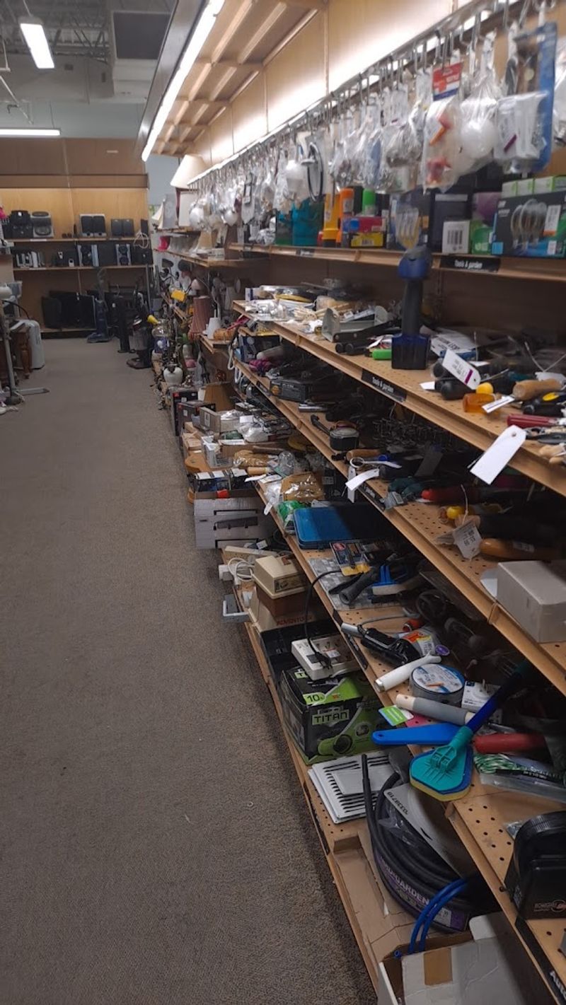 The Joy Of Scoring Big For Under $30