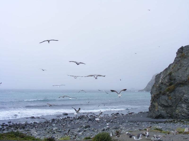 Rules And Safety Guidelines Every Visitor Should Know