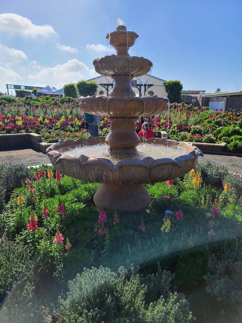 How The Fields Change From Week To Week