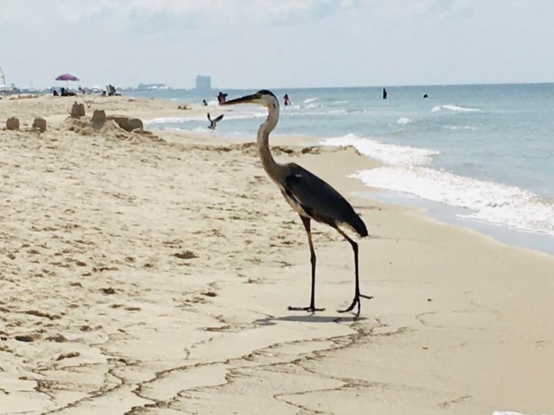 Best Times To Visit And How To Plan Your Trip