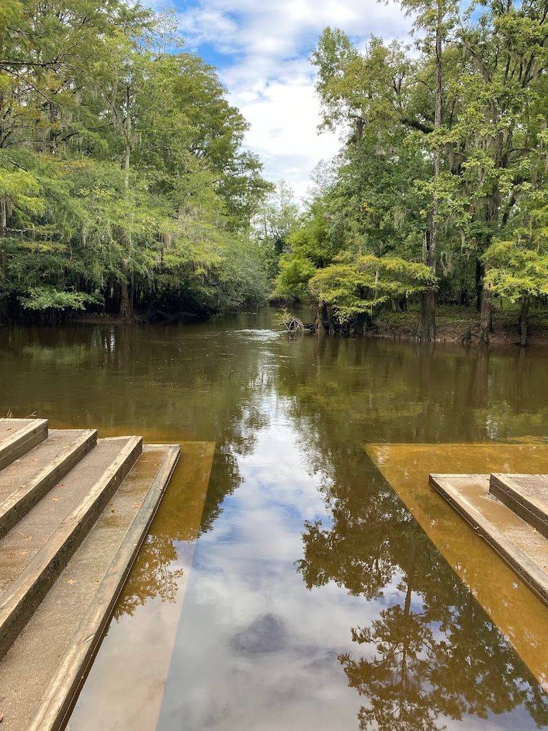Lynches River County Park