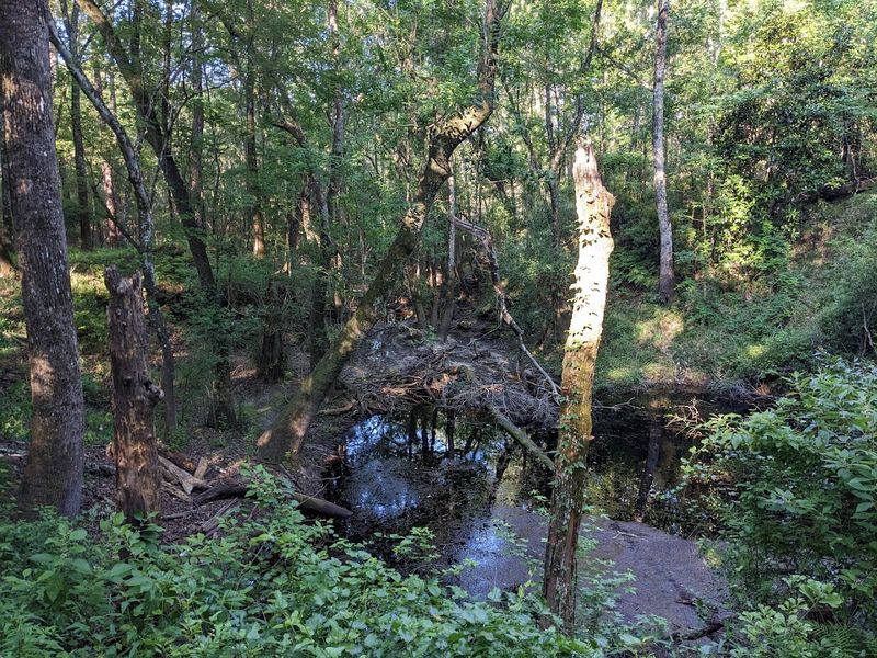 Best Time To Visit And What To Expect