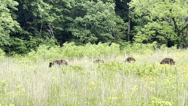 A Neighbor Worth Meeting