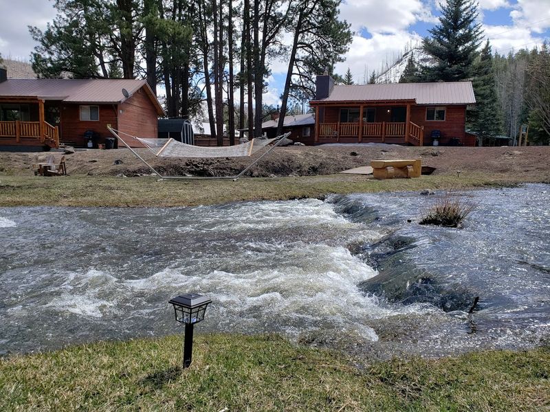 Fishing In The Little Colorado River Headwaters