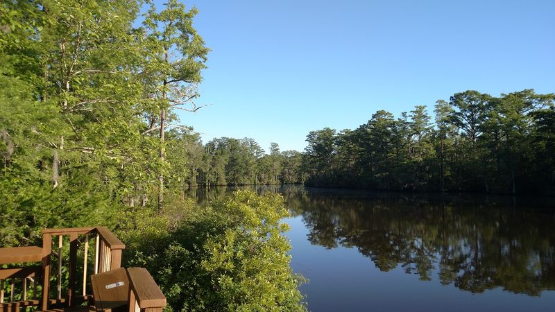 Wildlife And Nature Just Minutes From Town