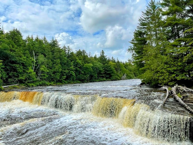 Tahquamenon Falls State Park Shore