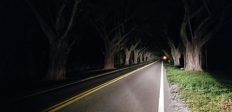 The Best Time To Visit For That Magical Light