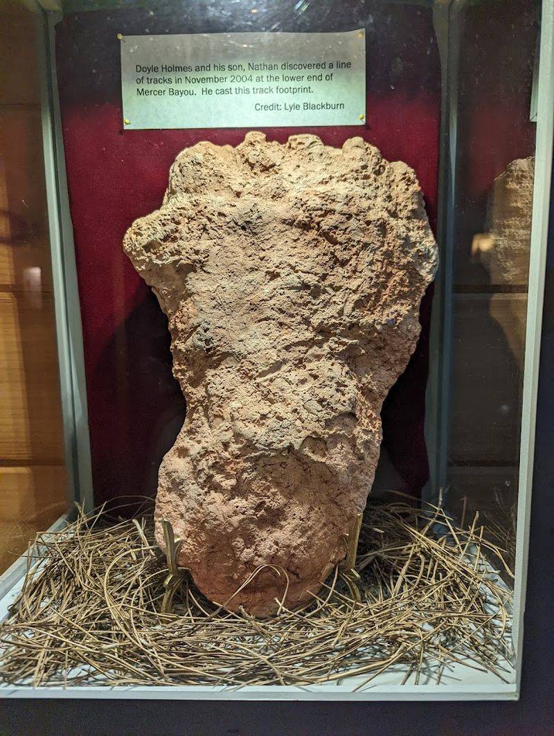 What I Noticed While Exploring The Displays Up Close