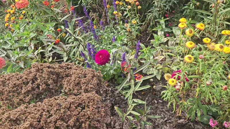  Where To Relax And Recharge Surrounded By Color