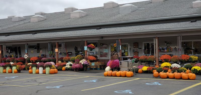 A Quiet Store With A Big Reputation