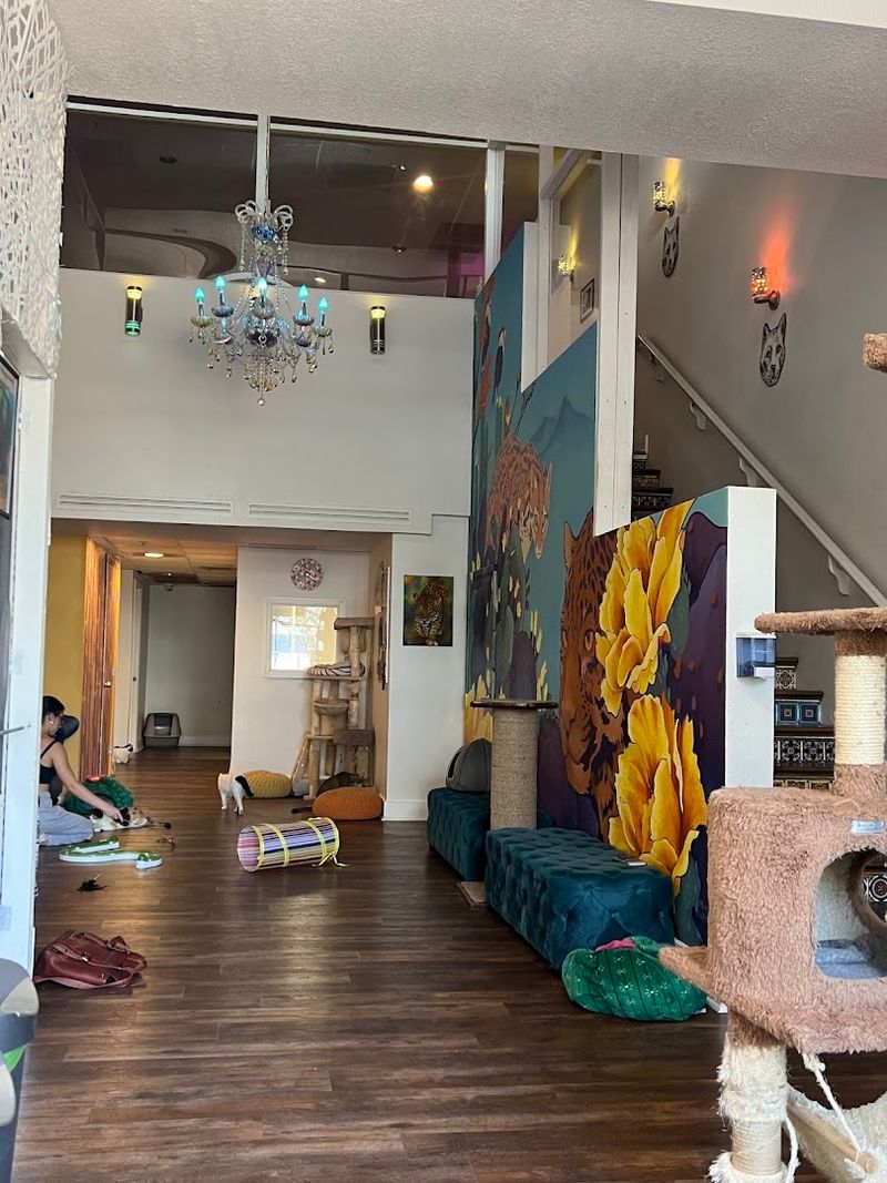 Special Events And Activities