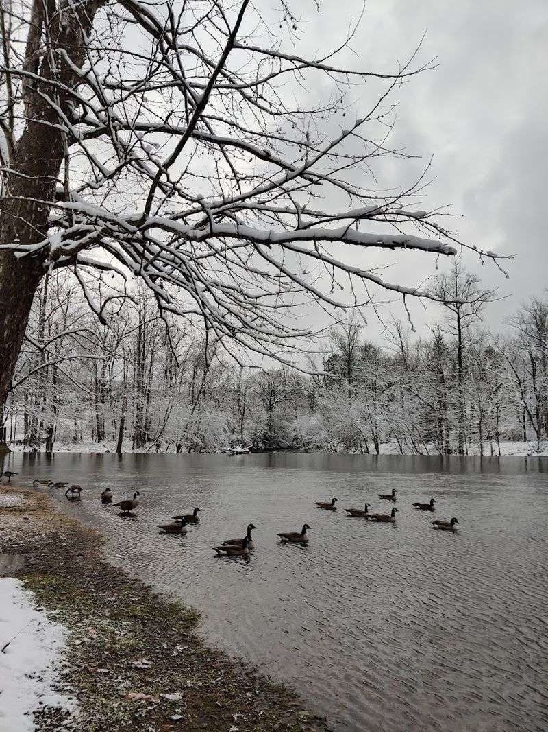 Wildlife Around Every Bend