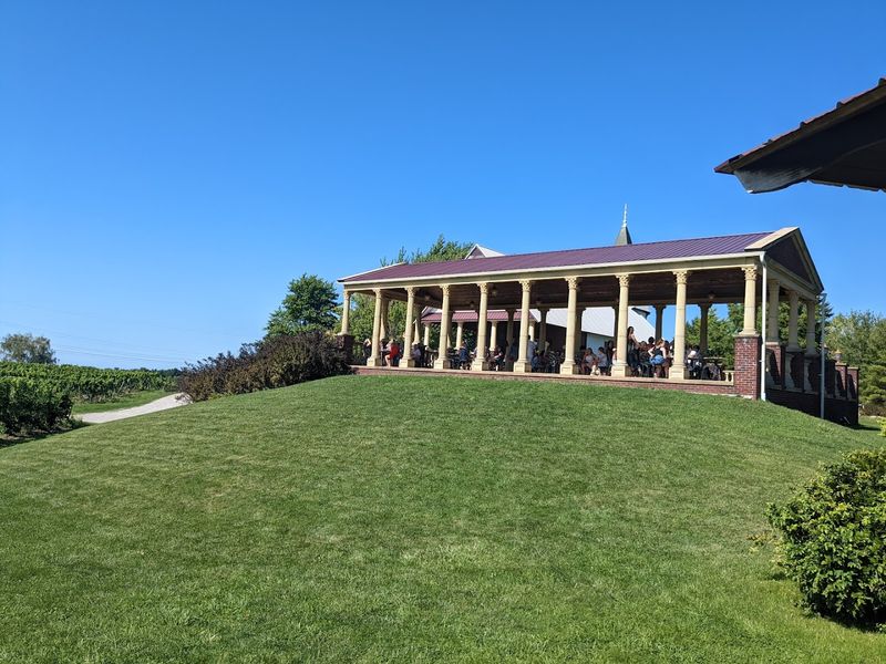 The Grape Trail And A Surprising Regional Identity