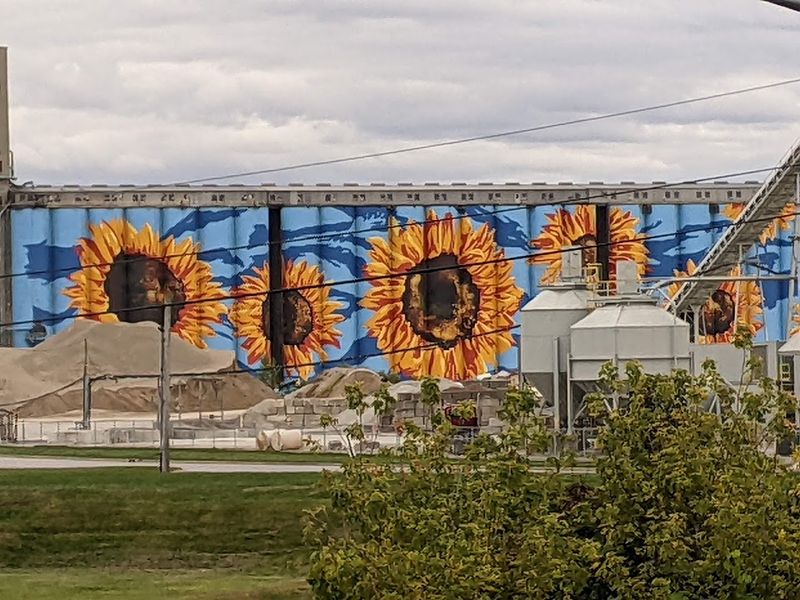 Visiting Hours And Practical Information