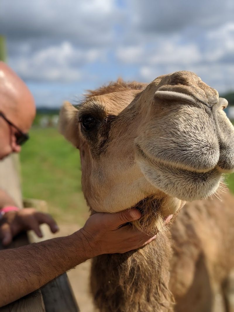 Tips For Making The Most Of Your Visit