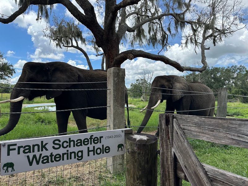 What Makes This Place Educational