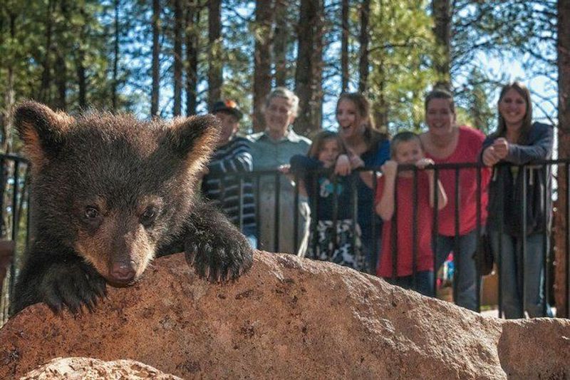 Up‑Close Encounters On Foot
