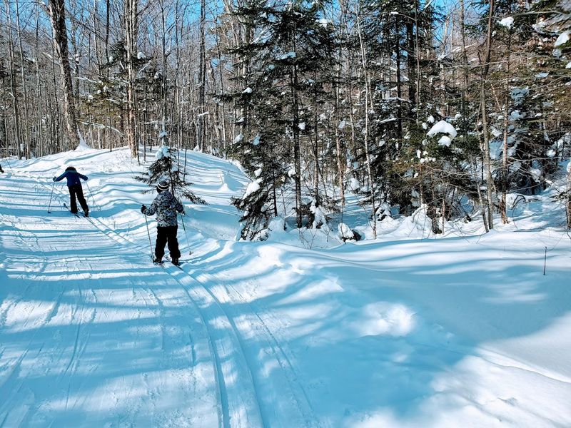 Powder Days And Nordic Trails