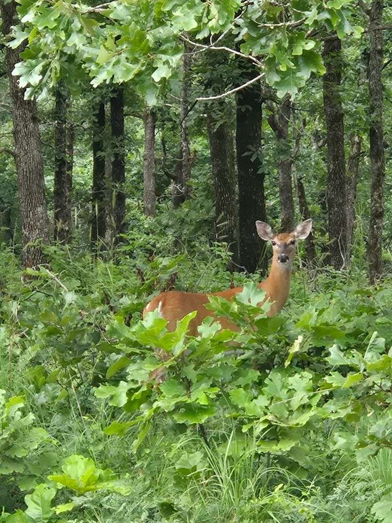 Scenic Views And Nature Spots To Explore