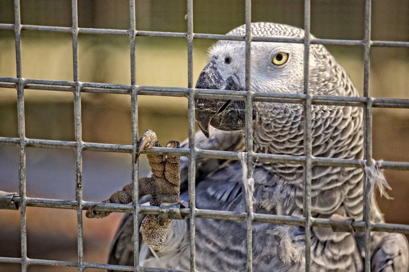 What Sets This Sanctuary Apart