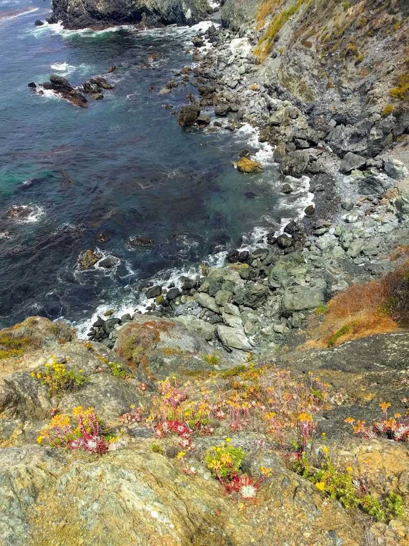 Why Jade Cove Stays With You Long After You Leave