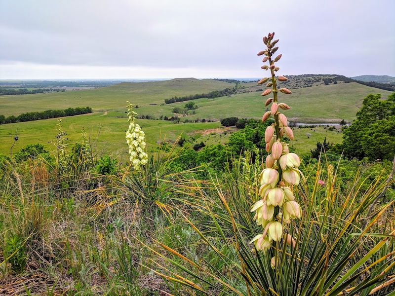 More Things You Should Know